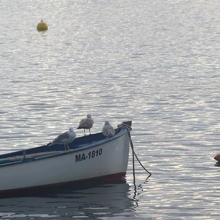 Guesthouse Podaca Pensión 3*