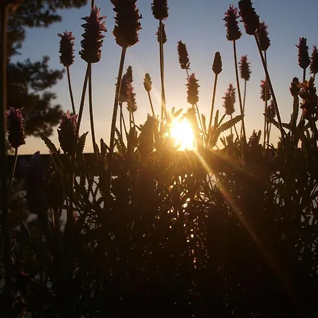 Guesthouse Podaca Pensión Podaca