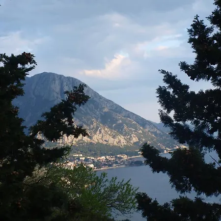 Pensión Guesthouse Podaca