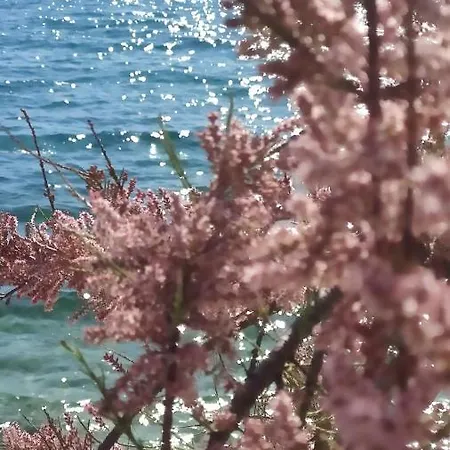 Guesthouse Podaca 3*